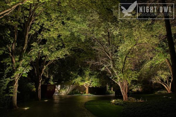 Night Owl Landscape Lighting