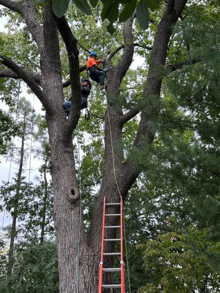 Arbor Masters