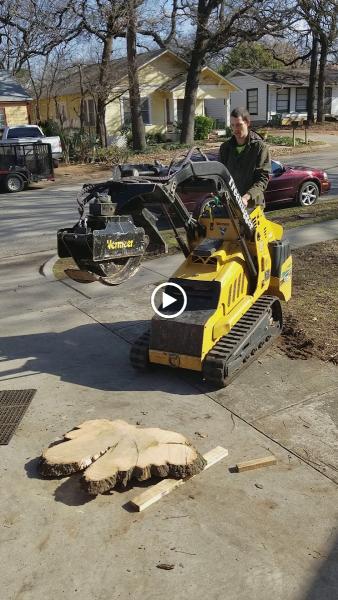Urban Tree Merchants
