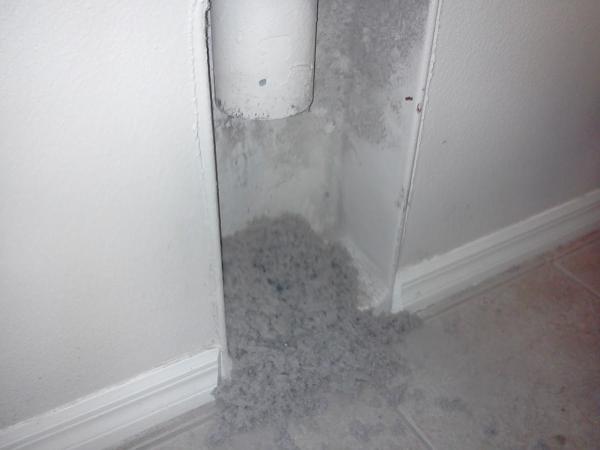 Lint Guardian