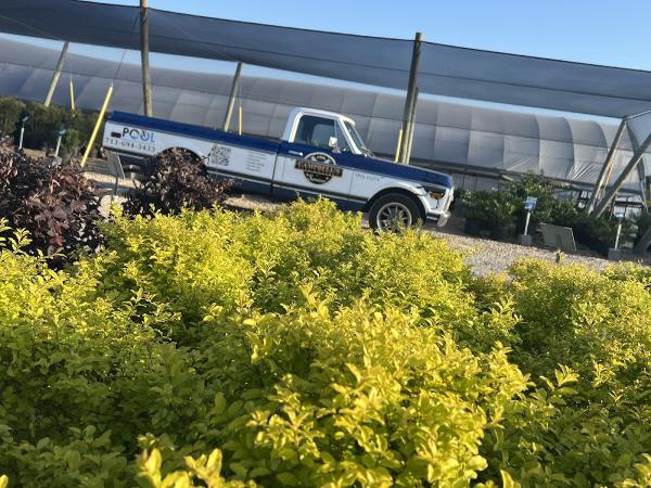 Campbell's Pest Control & Services