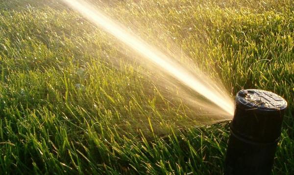 Wetwork Irrigation