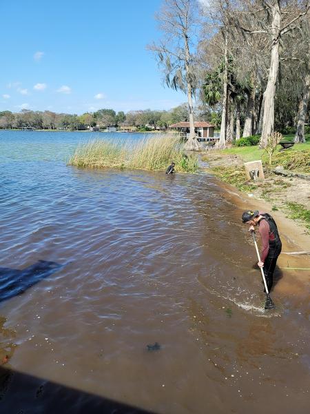 Custom Lakefronts and Tree Care