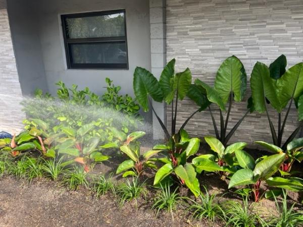 Livingston Landscapes & Design