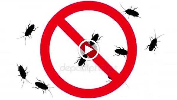 The Pest Control Authority