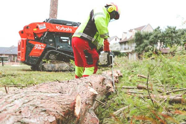 A-Cajun Tree Cutters