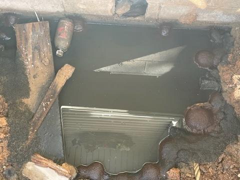 All Dry Services