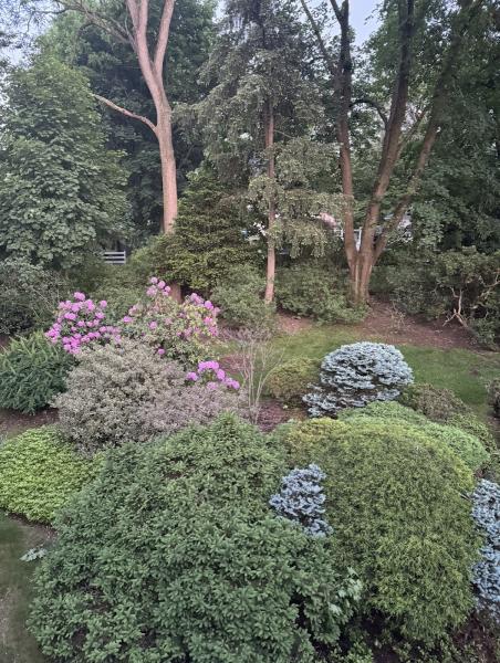 Village Landscaping & Contracting