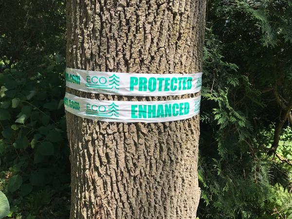ECO Tree Company