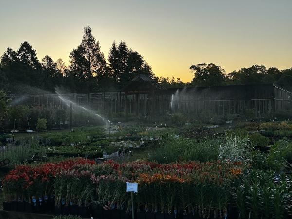 Barry's Greenhouses and Landscaping