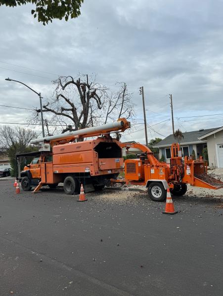 A1 Tree Care