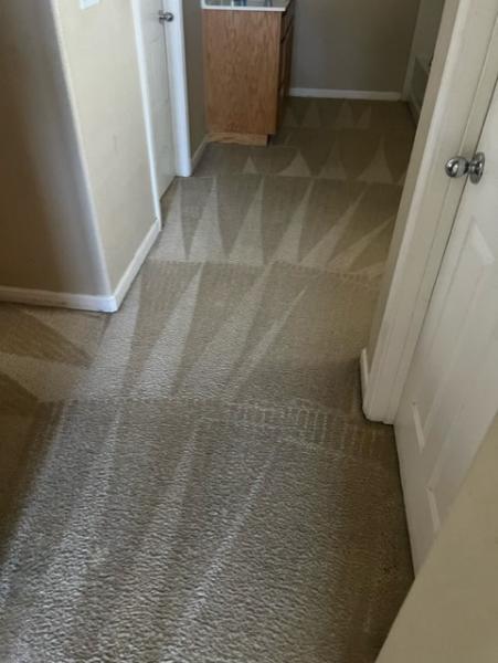 Getsifrago Carpet Clean