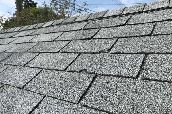Anderson Roof Rejuvenation