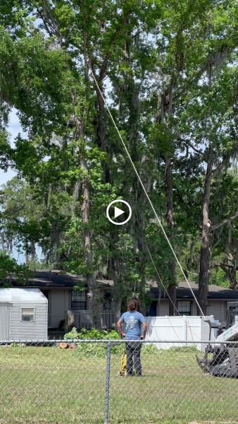 Tree Solutions Florida
