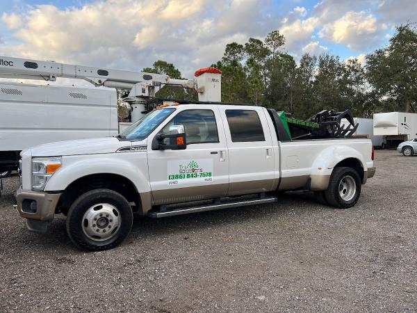 Tree Solutions Florida