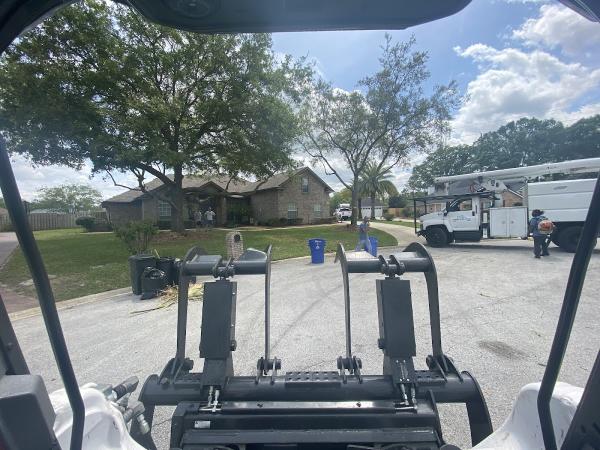 Tree Solutions Florida