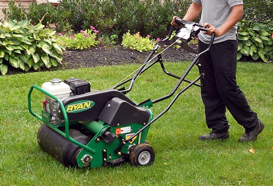 Aeration & Dethatching