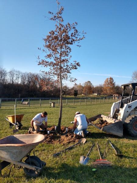 Albyn's Landscape & Nursery Center
