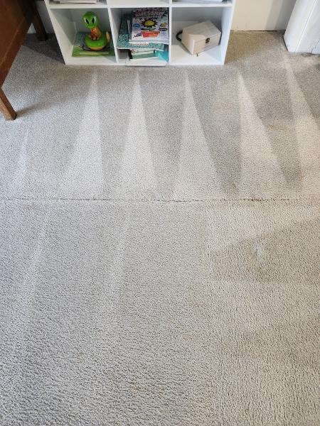 Blue Ribbon Carpet & Upholstery Cleaning