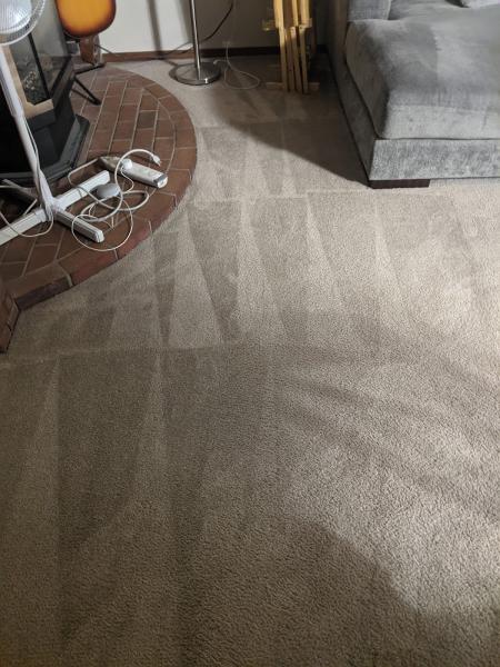 Blue Ribbon Carpet & Upholstery Cleaning
