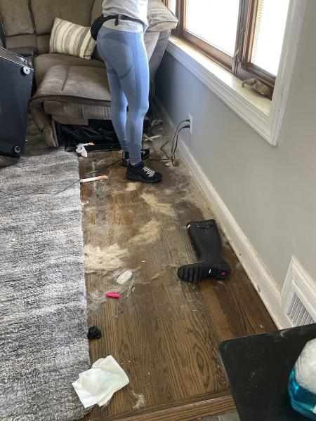 Revival Cleaning Service