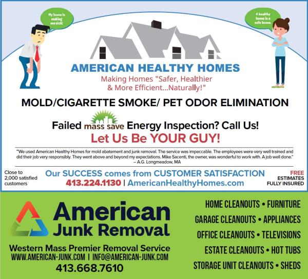 American Healthy Homes