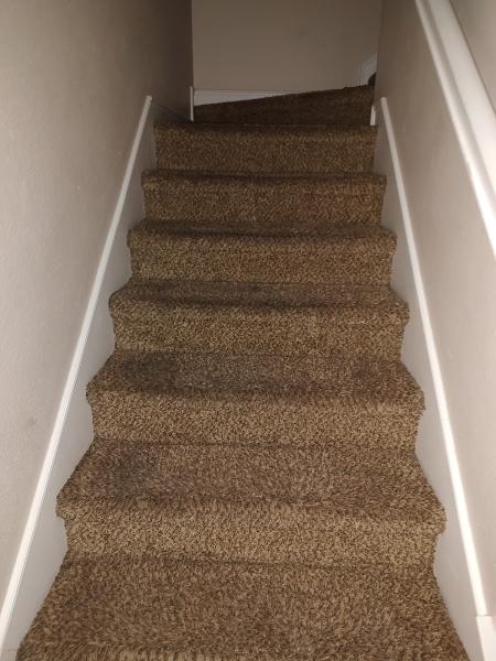 Sunwest Carpet and Upholstery and Tile Cleaning