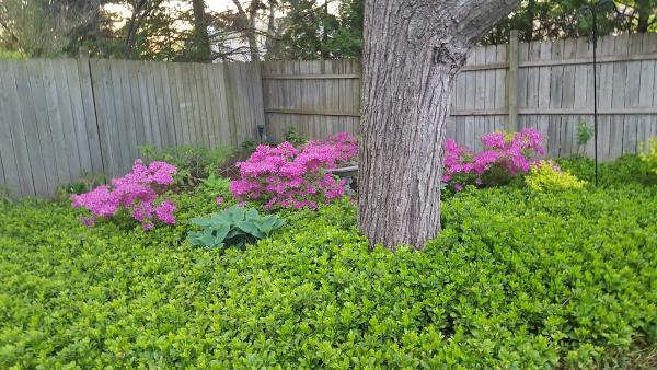 Thelen Landscape Inc