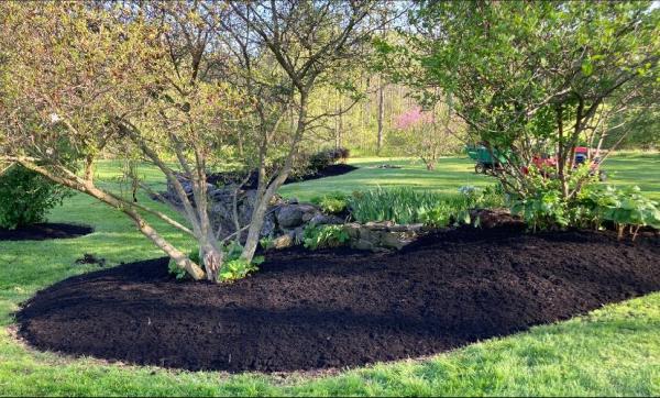 Next Level Landscaping LLC