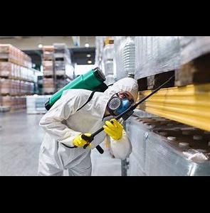 Greater Bay Area Termite/ Echobots Termite and Pest Solutions