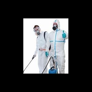 Greater Bay Area Termite/ Echobots Termite and Pest Solutions