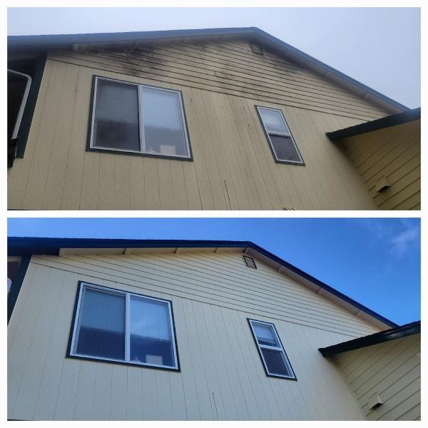 Bay Window and Gutter Cleaning
