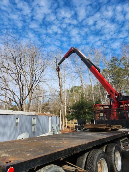 Jernigan Tree Experts
