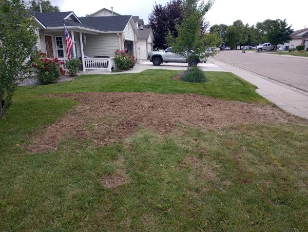 Trees All Day Tree Service
