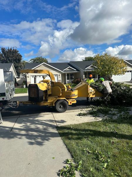 Trees All Day Tree Service