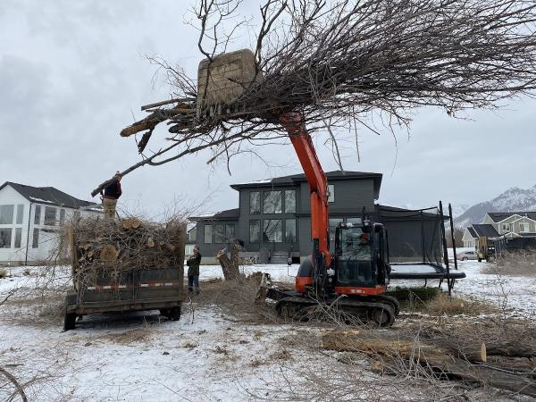 Cascade Tree Services