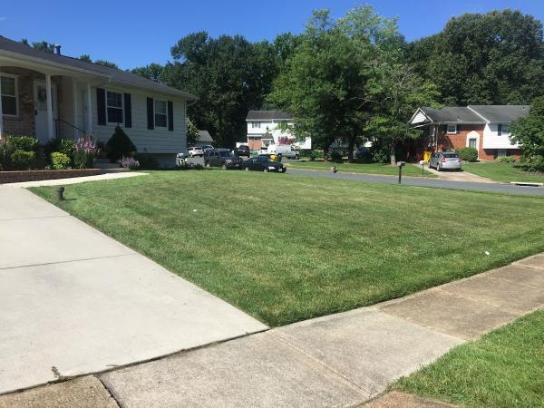 Dulin Cut & Trim