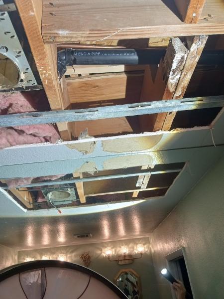 Las Vegas Mold Removal Testing Inspection