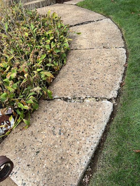 Andersons Pressure Wash