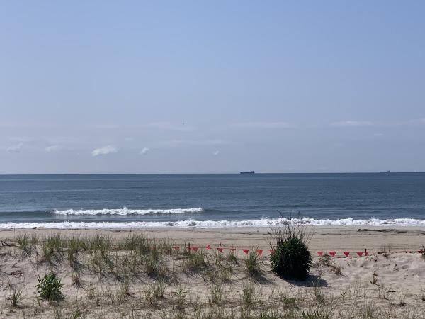 Rockaway Properties