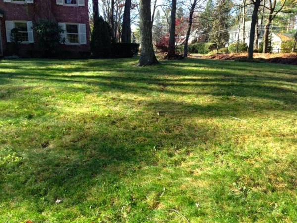 NVS Landscape Services