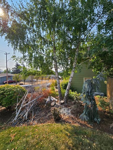 Priority Tree Service LLC