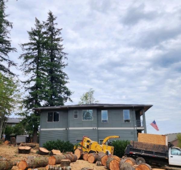Priority Tree Service LLC