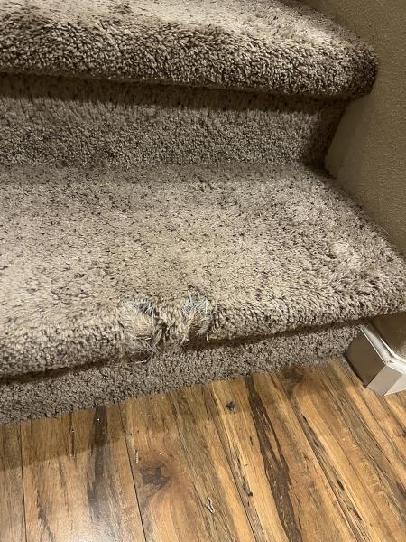 AAA Carpet Cleaning and Restoration