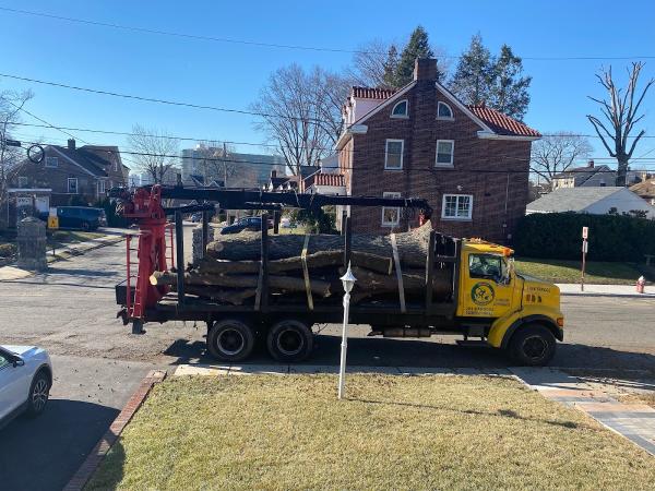 Cousins Tree Services