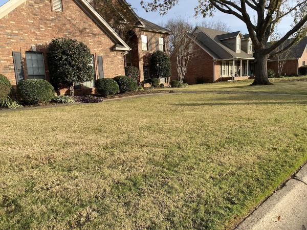 Sunrise Lawn Maintenance