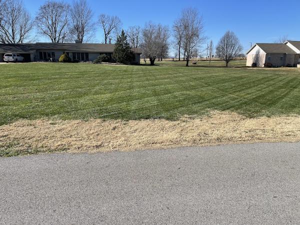 Sunrise Lawn Maintenance
