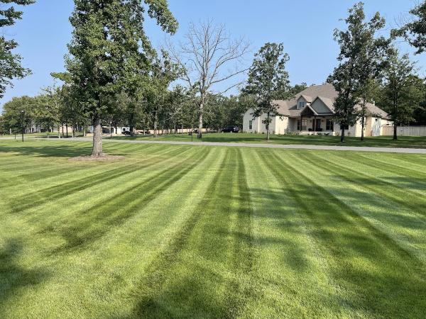 Sunrise Lawn Maintenance