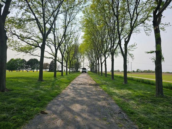 Reasonable Tree Experts