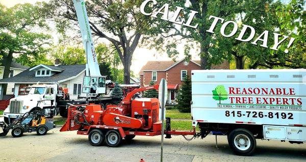 Reasonable Tree Experts
